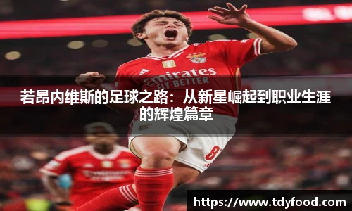 ld乐动平台